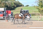 BPP_8340