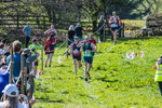 The Finish-750
