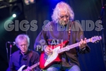 Albert Lee-13