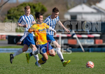 Jeremie Cup_Bels v St Clements-43