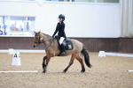 SBM_000355