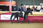 SBM_14686