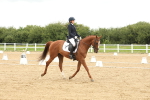 SBM_008856