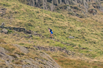 Peris Horseshoe-150