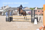 BPP_3790