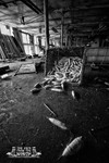 Portfolio 6