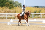 SBM_009799