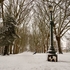 St George Park in the Winter 1