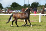 DSC05444