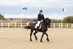 SBM_002213