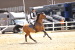 SBM_001909