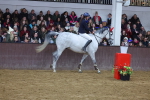 SBM_003800