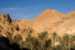 Chebika oasis Saharan Atlas mountains 2