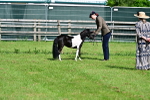 SBM_03531