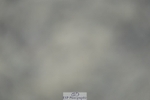 230909-180920-07427