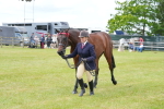 SBM_15931