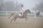 SBM_000914