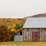 Old Barns of New Brunswick Canada