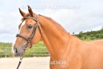 equiscot3630