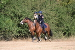 WJ6_7532