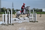 80-85cm Arena Eventing portfolio