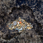 CATCH ROCK PROJECT portfolio