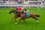 080925-Race 2-Alzahir-7436