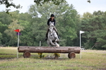 80cm XC (Time on course) portfolio