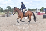 BPP_2206