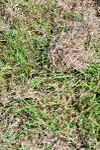 SBM_03526