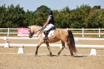 SBM_012719