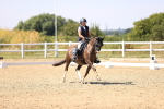 SBM_005497
