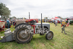 Guernsey Agricultural Show 2021-156
