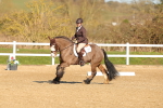 SBM_003481