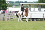 SBM_17597