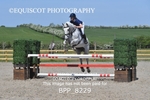 BPP_8229