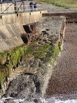 Shoreham Fort - 71