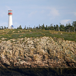 Southwest Wolf Island Solar Light Beacon