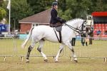 SBM_10964