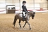 BPP_8247