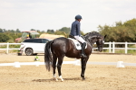 SBM_003682