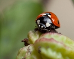 20110821-IMG_6364