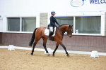 SBM_002331