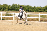 SBM_000906