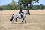 WJ6_8778