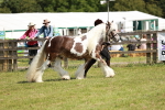 SBM_08781