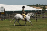 SBM_06732