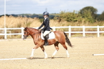 SBM_009918