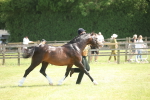SBM_09078