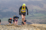 Coledale-550